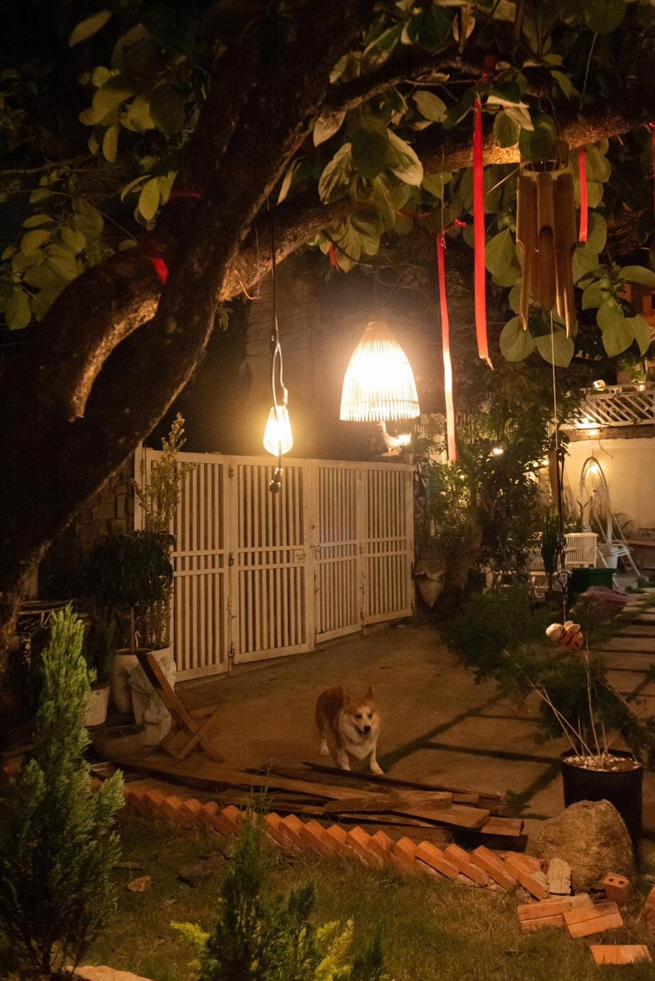 Chai Nho Homestay 大叻 外观 照片