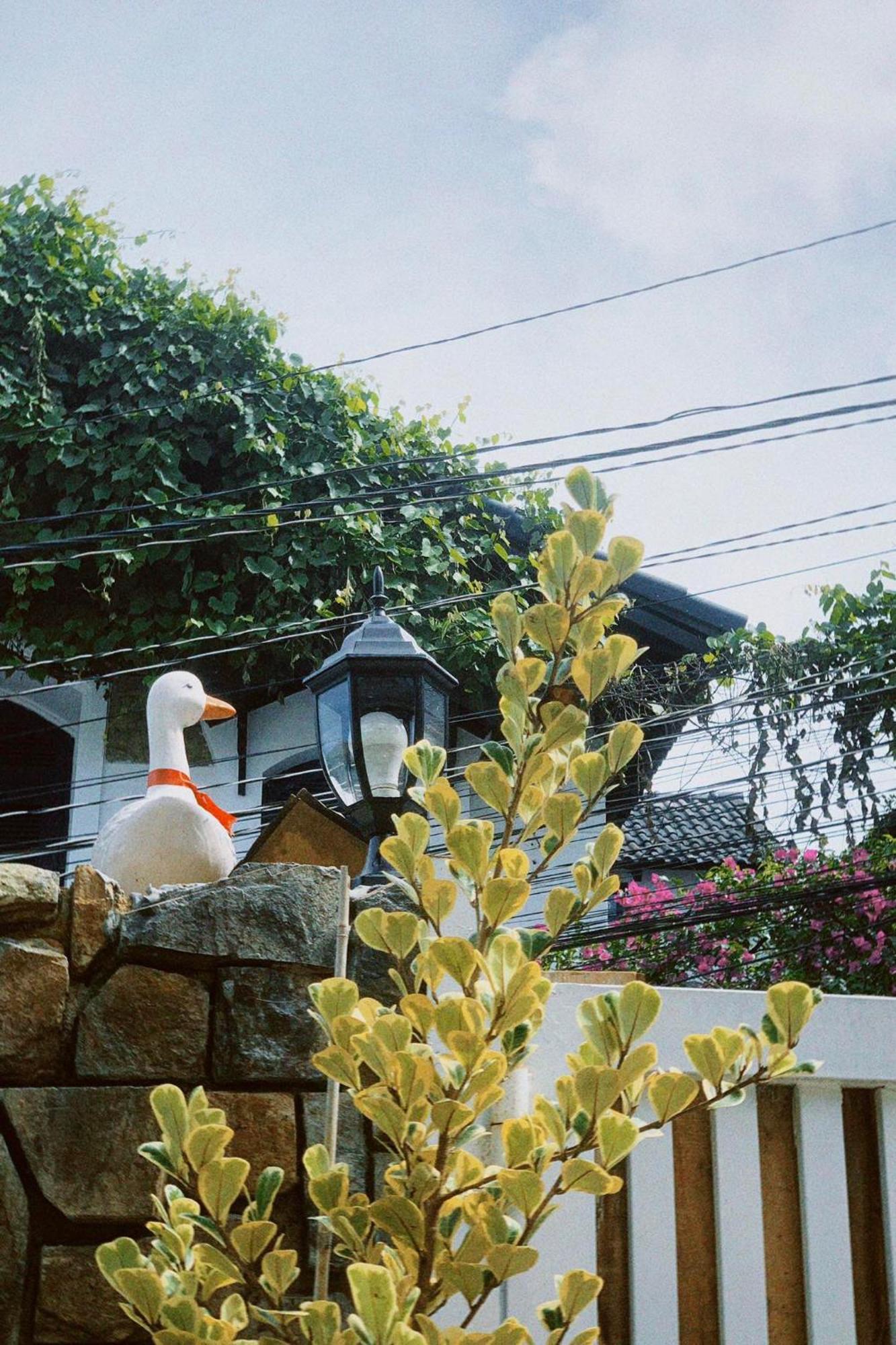 Chai Nho Homestay 大叻 外观 照片